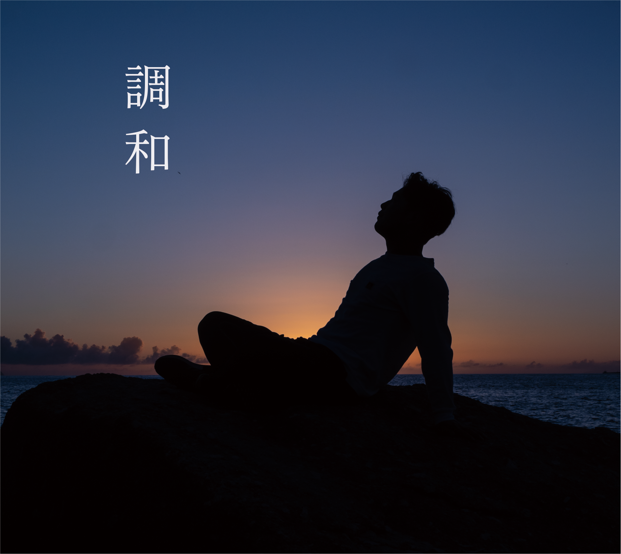 CD 調和